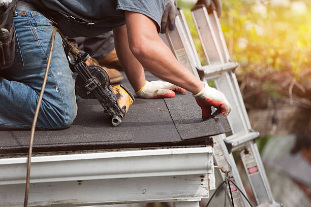 Roof Gutter Cleaning in Fruitport, MI