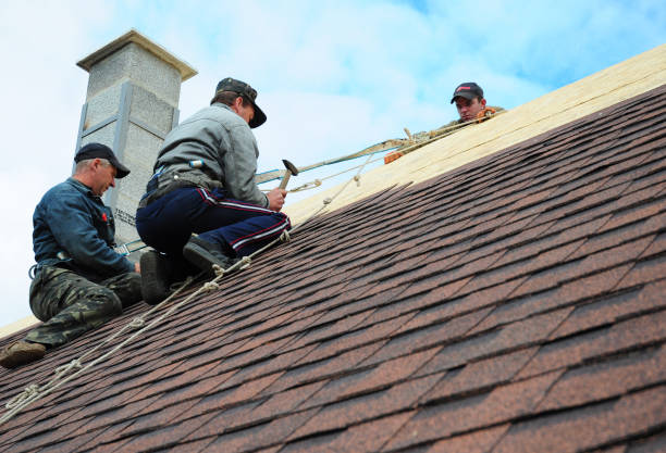 Best Local Roofing Companies  in Fruitport, MI